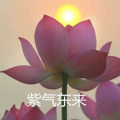 血色暗影破解版下载